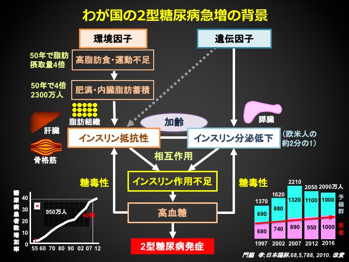 わが国の2型糖尿病急増の背景の図