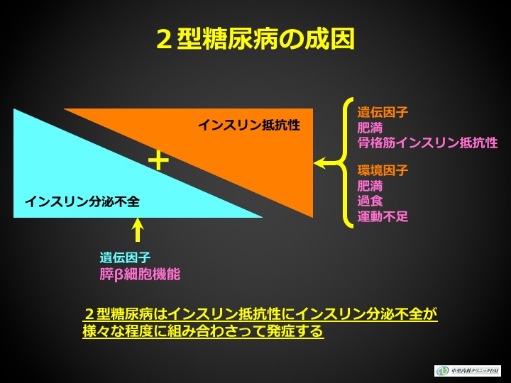 2型糖尿病の成因の図