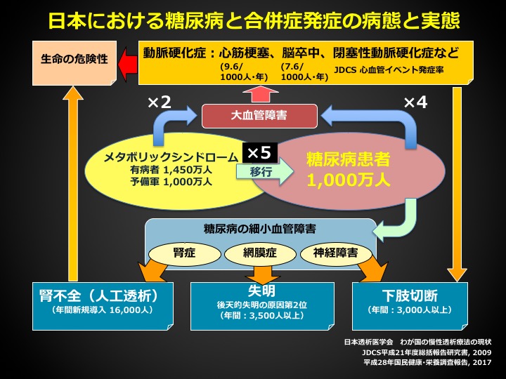 日本における糖尿病と合併症発症の病態と実態の図