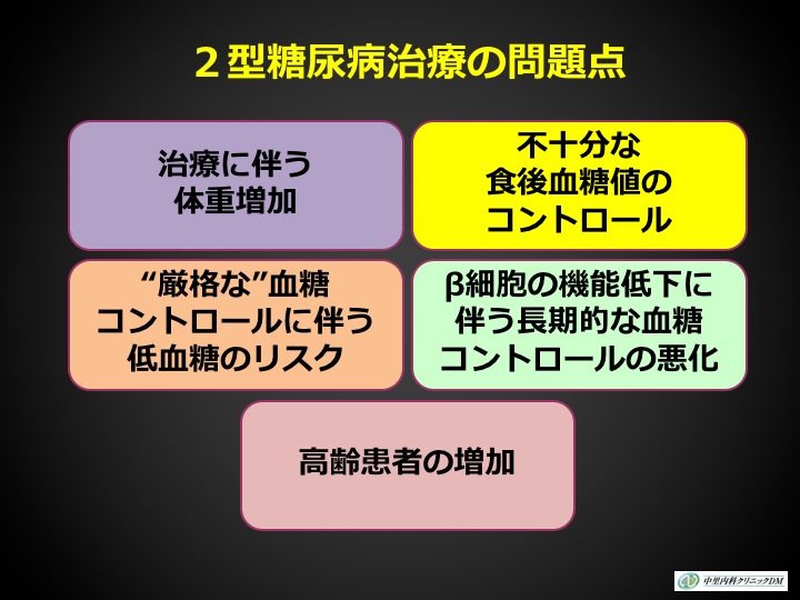 2型糖尿病治療の問題点の図