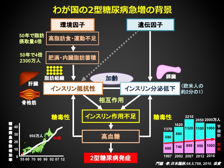 わが国の2型糖尿病急増の背景の図