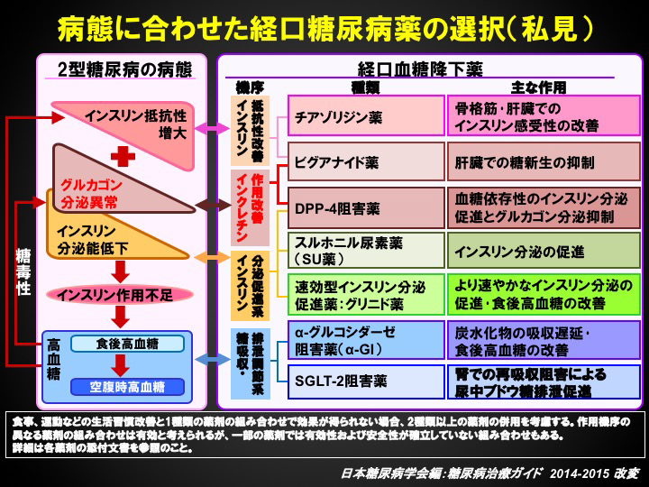 病態に合わせた経口糖尿病薬の選択（私見）の図